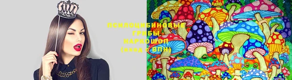 стафф Каменск-Шахтинский