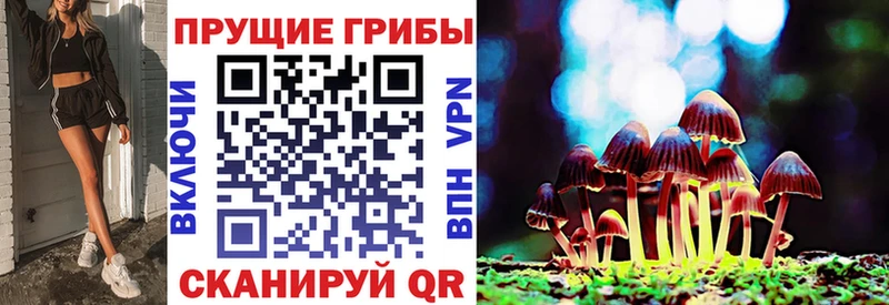 Купить  Гулькевичи  Псилоцибиновые грибы Psilocybe 